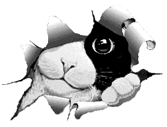 x-felixw.gif